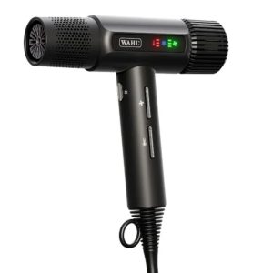 Vanquish Hair Dryer